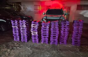 *POLÍCIA MILITAR APREENDE CERCA DE 300 KG DE MACONHA DURANTE OPERAÇÃO EM ARAXÁ*