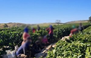 TRINTA E DOIS TRABALHADORES SÃO RESGATADOS EM SITUAÇÃO SEMELHANTE À ESCRAVIDÃO EM PERDIZES.