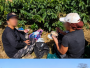 FAZENDA TERÁ DE PAGAR MAIS DE R$ 1 MILHÃO A 32 TRABALHADORES APÓS FISCALIZAÇÃO EM PERDIZES.
